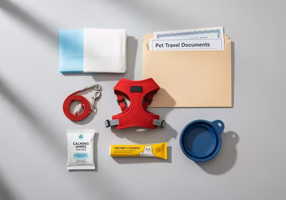 A flat lay image of essential items for a cat's carry-on bag, including pee pads, a harness, treats, and paperwork.