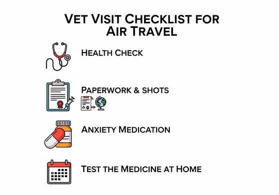 Infographic checklist for a vet visit before flying with a cat. Icons for health check, paperwork, anxiety meds, and a test dose.